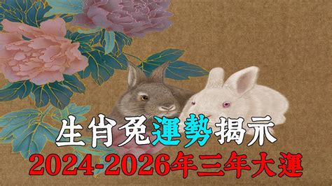 2024 生肖運勢 兔|【屬兔2024生肖運勢】是非多人氣旺，運勢漸入佳。